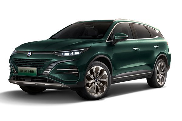 opony do Denza N8 SUV, 5d