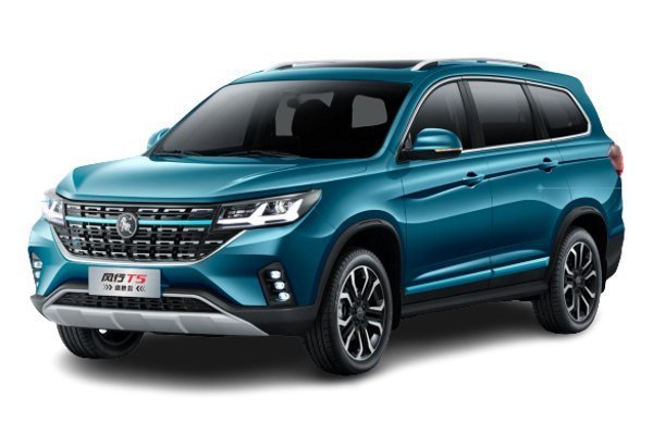 Подбор шин на Dongfeng Forthing T5 Prosperous Style