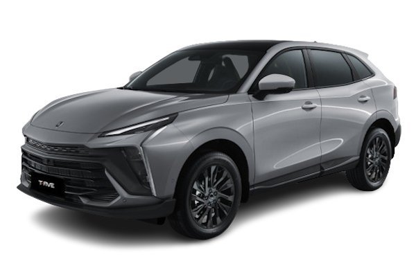 Подбор шин на Forthing T5