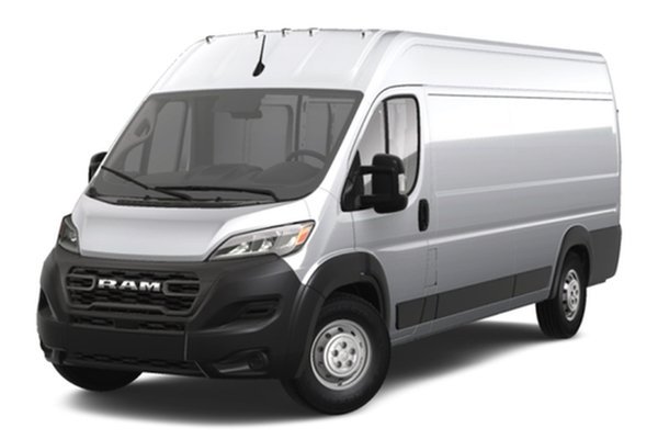 Ram Promaster 3500 tyres